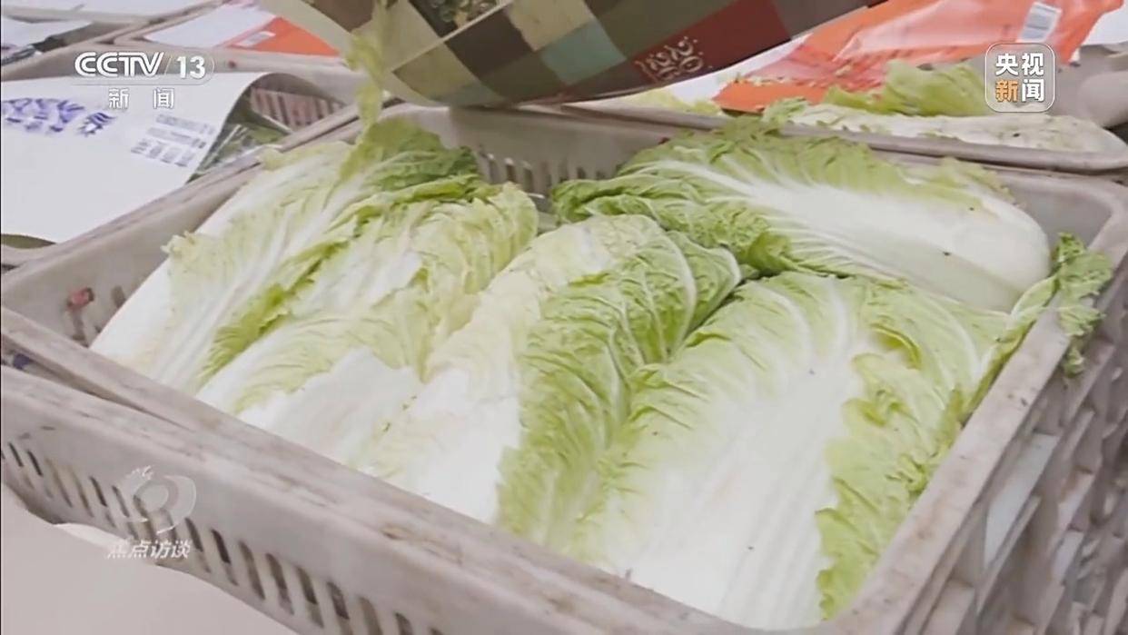 单棵售价超百元<strong></p>
<p>虚拟龙凤币</strong>,起底“套牌白菜”背后的销售套路