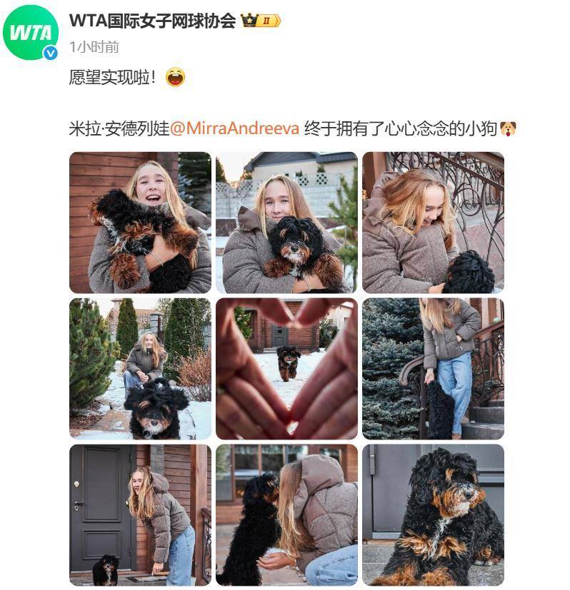 “小米辣”终于有了自己的小狗!曾说养狗是赢球的动力<strong></p>
<p>虚拟龙凤币</strong>,WTA官方发“贺信”:愿望实现啦!