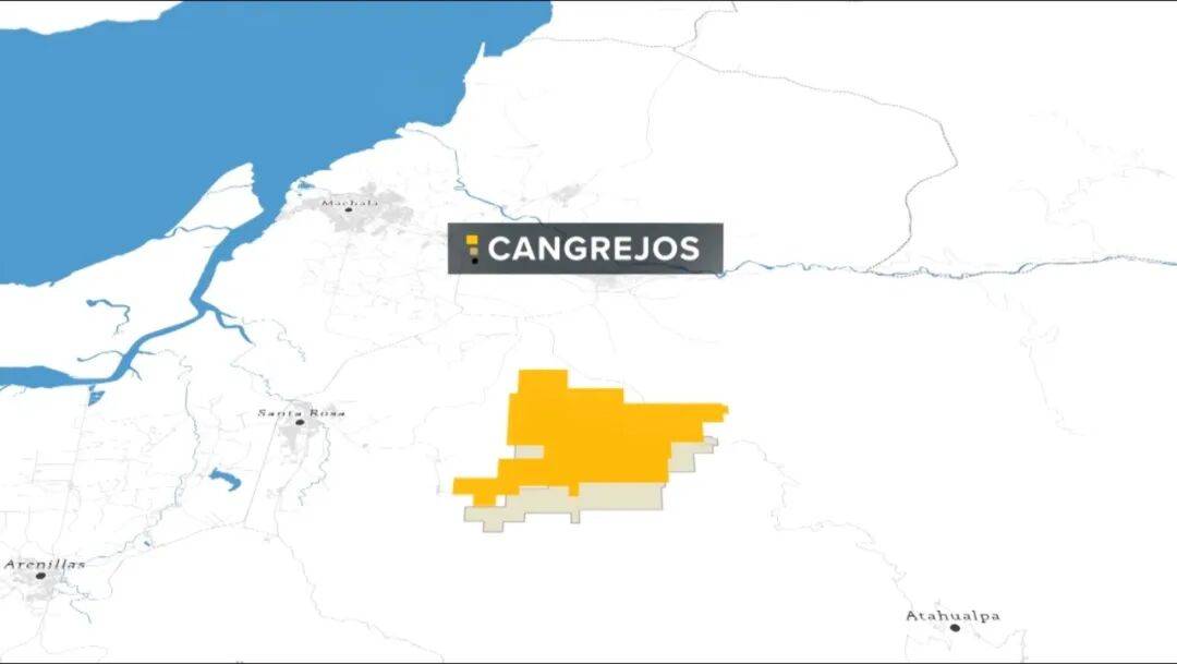 掏出71亿元现金<strong></p>
<p>小蚁虚拟币</strong>,河南巨头拿下国外四座金矿!