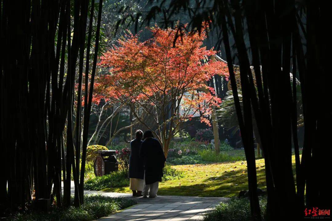 我国已进入拉尼娜状态<strong></p>
<p>虚拟币k线</strong>！四川今冬或“前暖后冷”