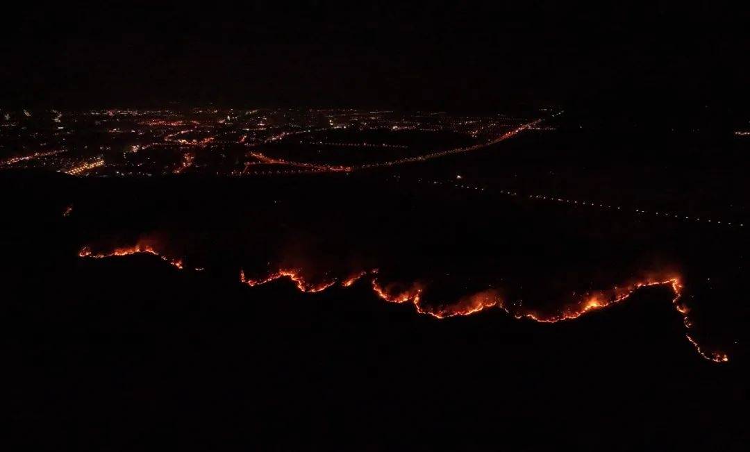 安徽合肥一男子祭祀引起山火，过火有林地167.1亩，犯罪后自动投案，获刑一年四个月