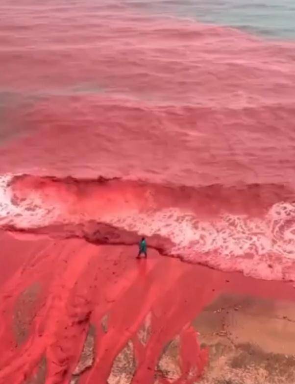 罕见!伊朗霍尔木兹岛遭遇强降雨<strong></p>
<p>虚拟币比特股</strong>,部分海域变成“血色海洋”